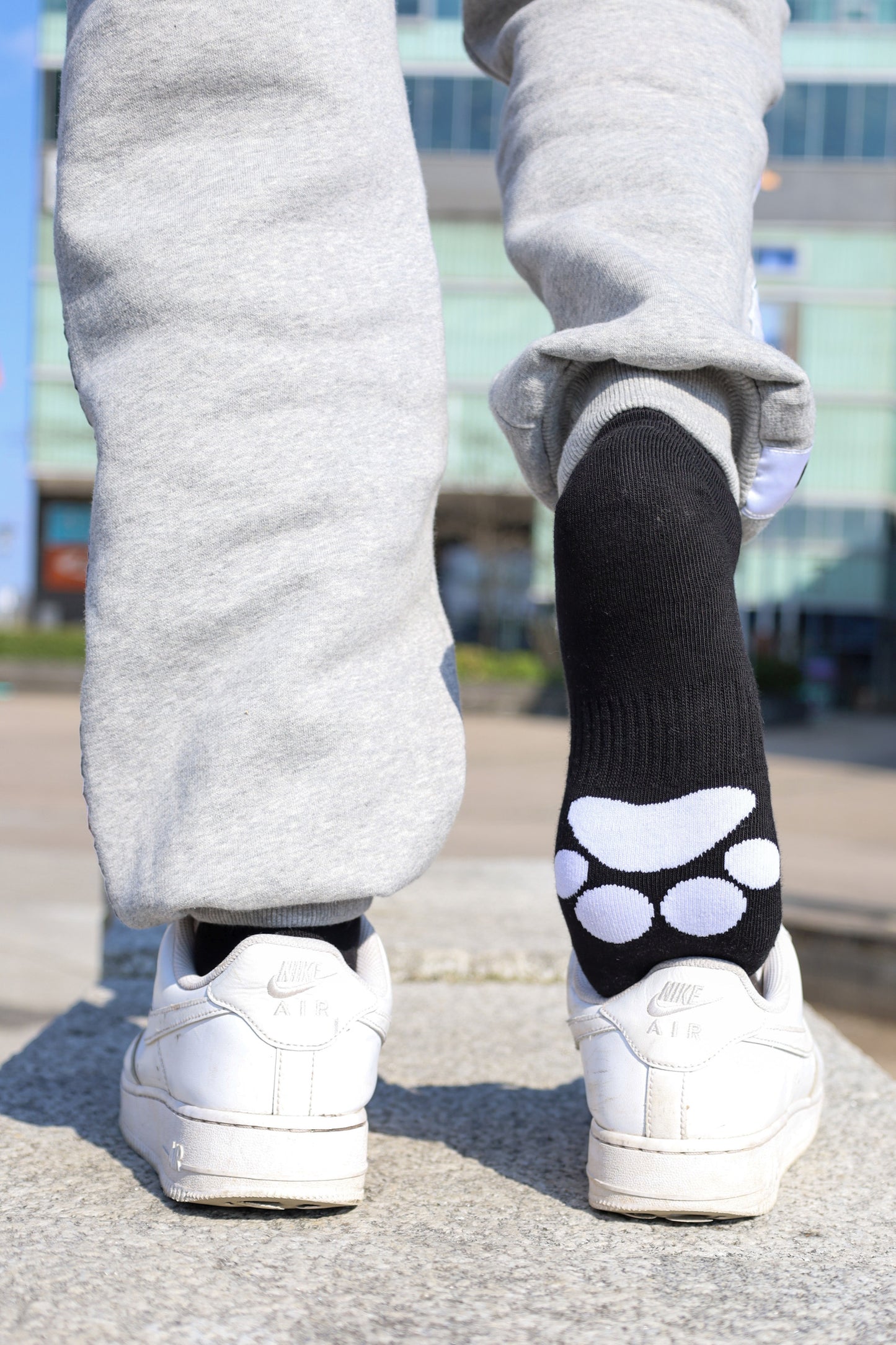 Sk8erboy® PUPPY Short Crew Socks schwarz