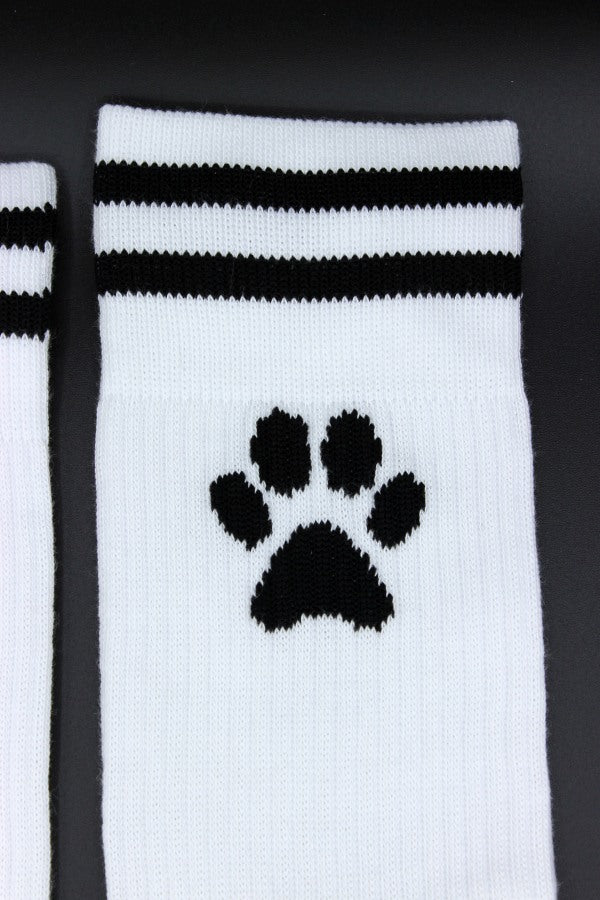 sk8erboy puppy socks socken mit pfote auf der sohle in weiss fuer alle doggys und puppys und verstecktem sk8erboy logo auf der innenseite im bund nahaufnahme der hohen qualität und pfote am bund